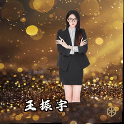 王振宇